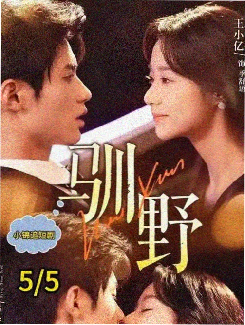 逆流而上 职场剧海报